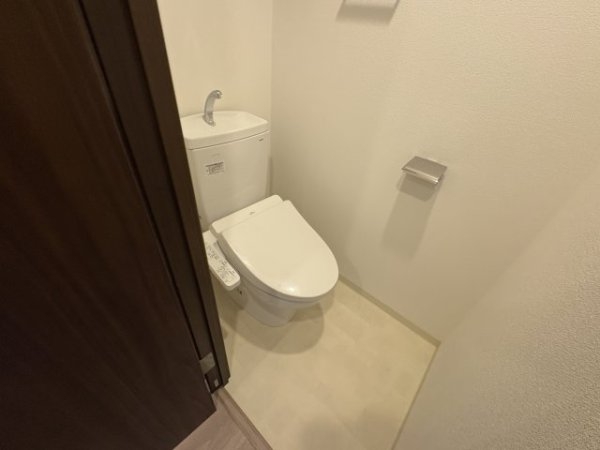 スプランディッド7