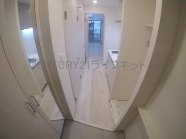 スプランディッド7