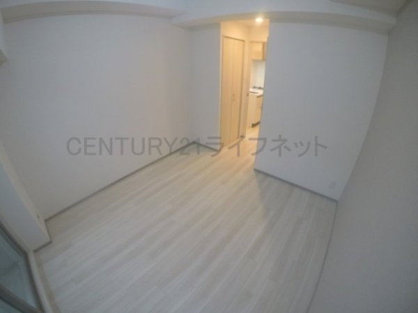 スプランディッド7