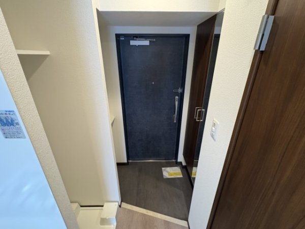 スプランディッド7