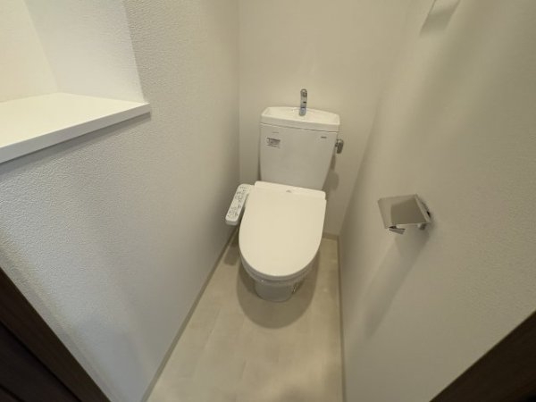 スプランディッド7