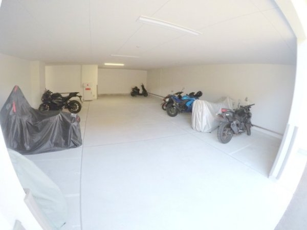 スプランディッド7