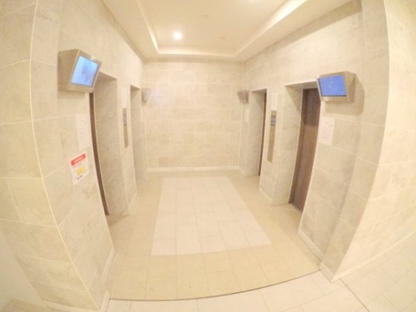 スプランディッド7