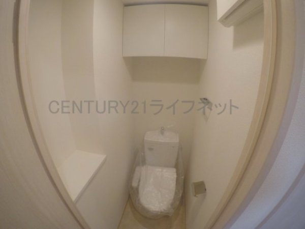 スプランディッド7