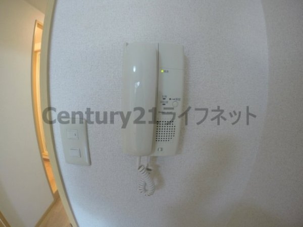 ジョリ・アウローラ