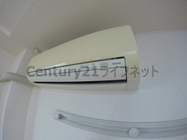 ジョリ・アウローラ