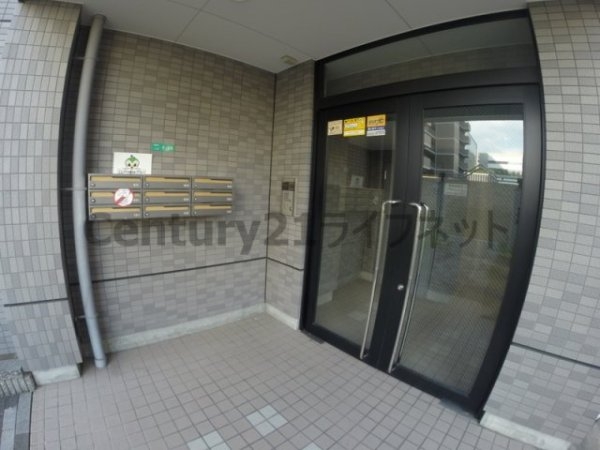 ジョリ・アウローラ