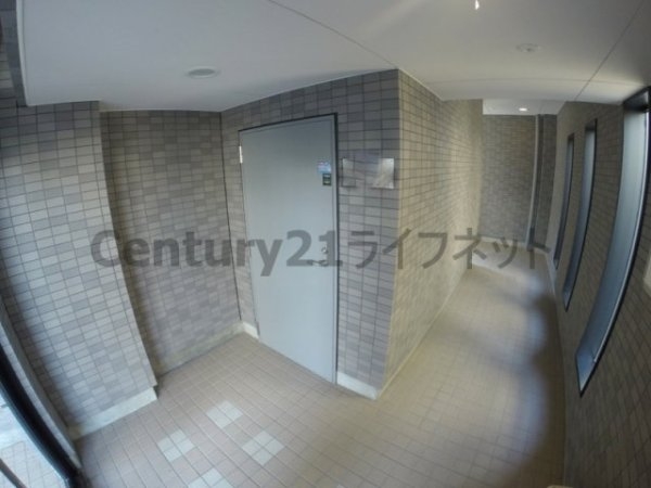 ジョリ・アウローラ