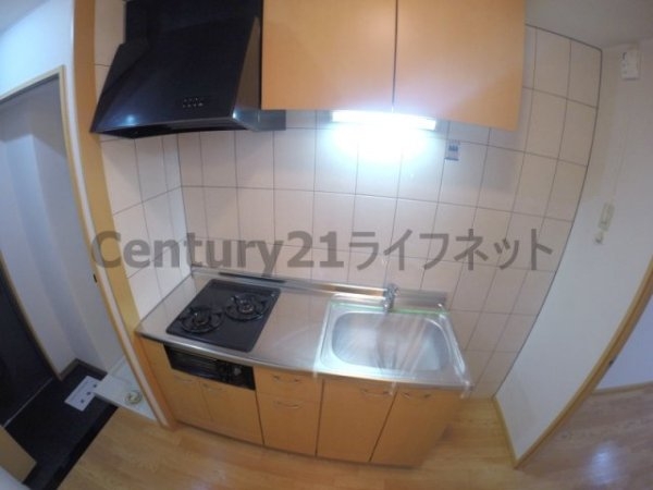 ジョリ・アウローラ