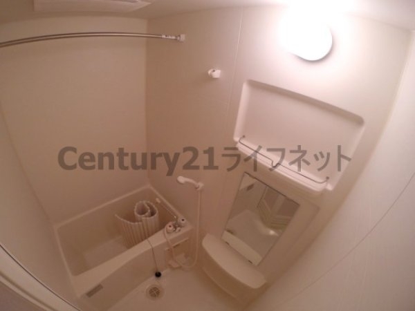 ジョリ・アウローラ