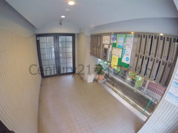 ラコンテ・スィエル