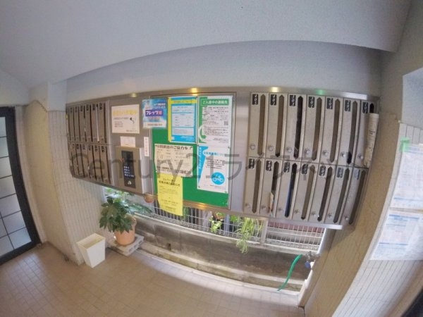 ラコンテ・スィエル