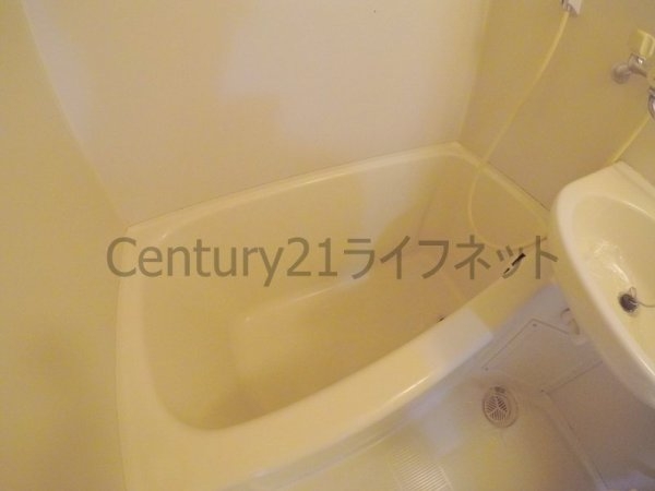 ラコンテ・スィエル