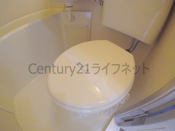 ラコンテ・スィエル