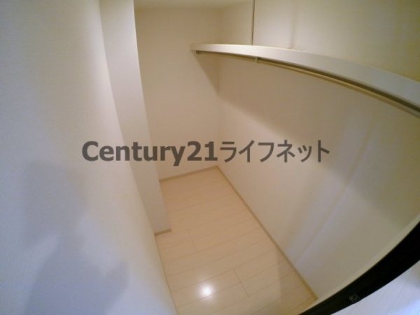 ルーセント菅原