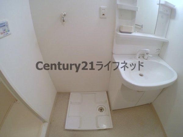 ルーセント菅原