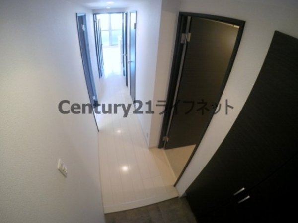 ルーセント菅原