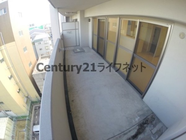 ルーセント菅原