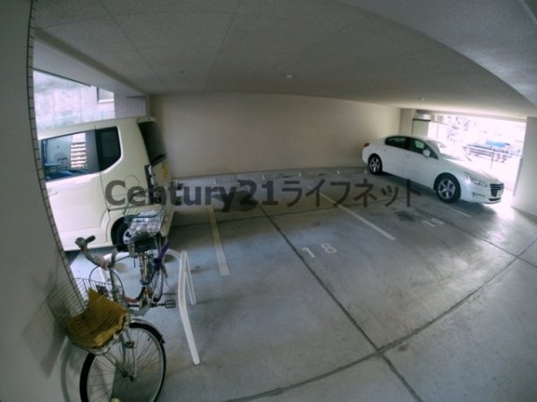 ルーセント菅原