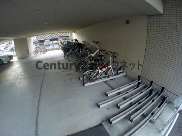 ルーセント菅原