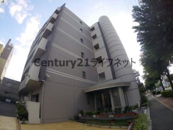 ルーセント菅原