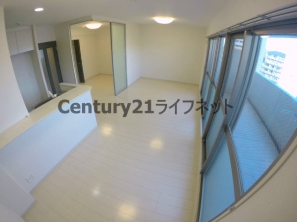 ルーセント菅原