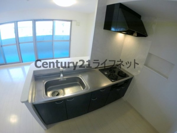 ルーセント菅原