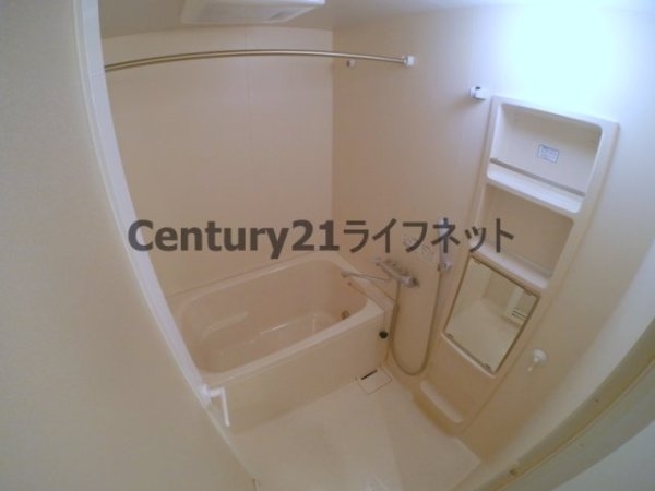 ルーセント菅原