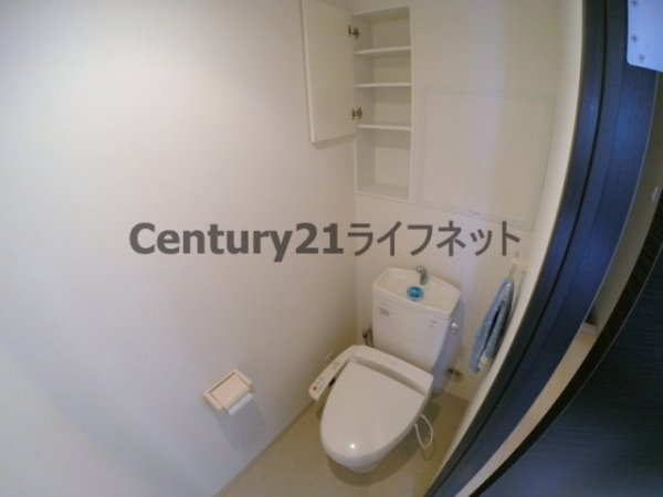 ルーセント菅原