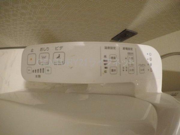 ブエナビスタ十三東