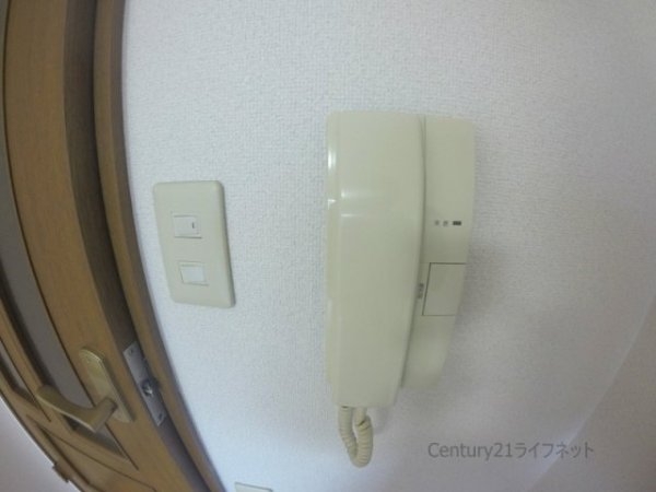 ブランドール・サム