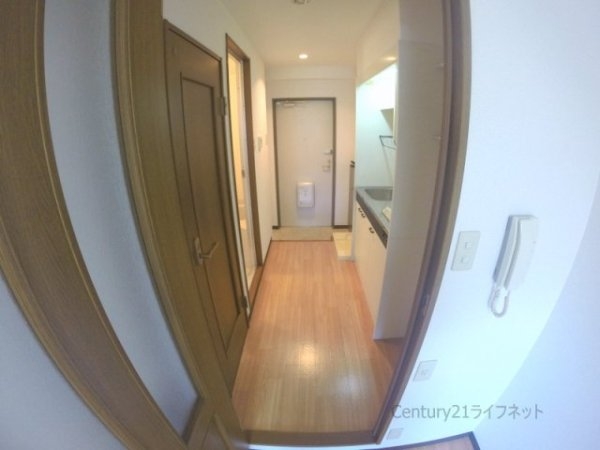 ブランドール・サム