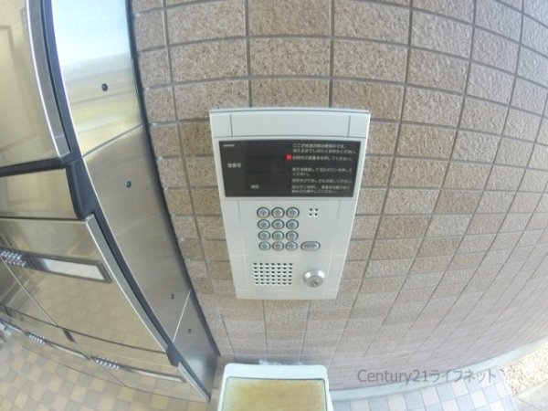 ブランドール・サム