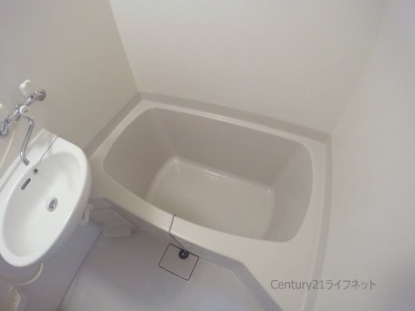 ブランドール・サム