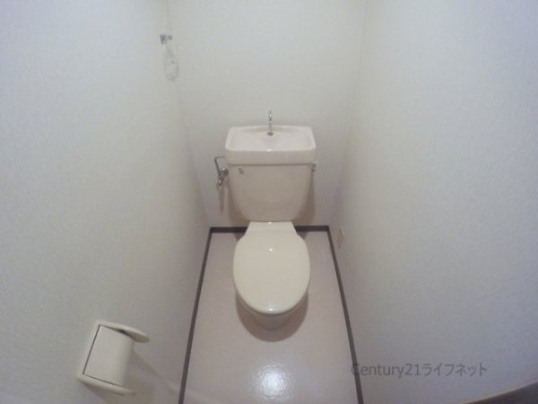 ブランドール・サム