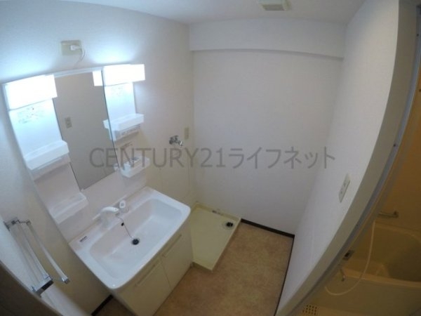 パルハセトン十三