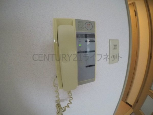 パルハセトン十三