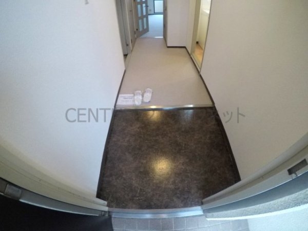 パルハセトン十三