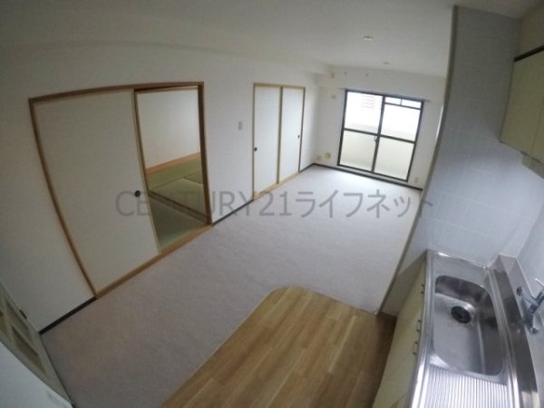 パルハセトン十三