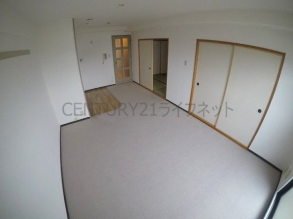 パルハセトン十三