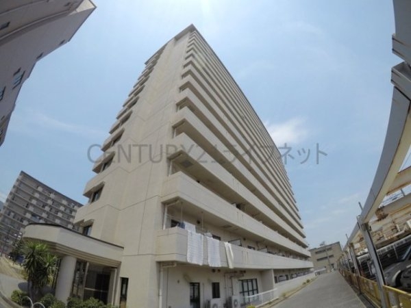 パルハセトン十三