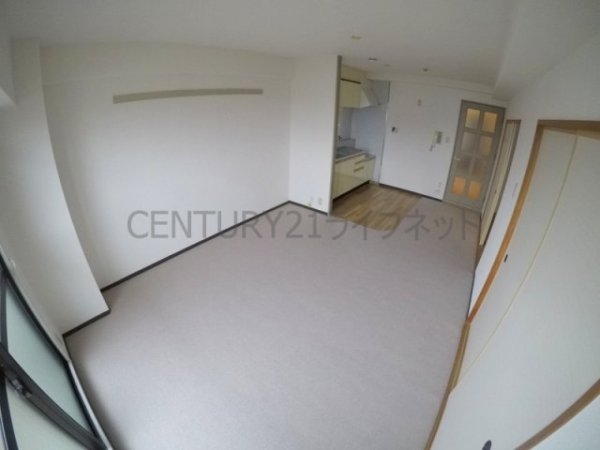 パルハセトン十三