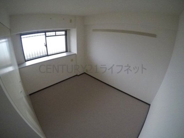 パルハセトン十三