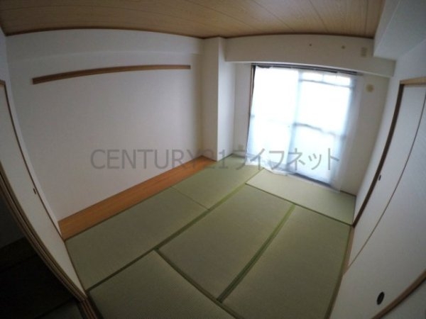 パルハセトン十三