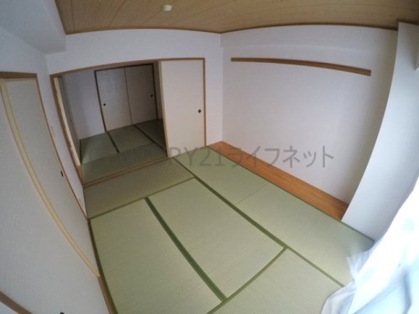 パルハセトン十三