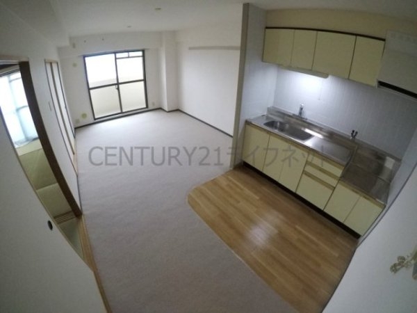 パルハセトン十三