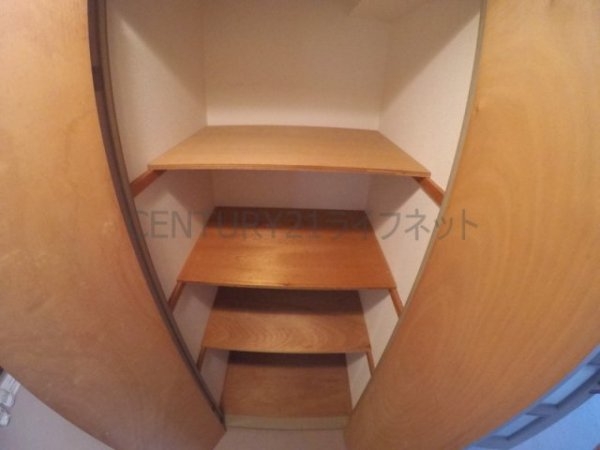 パルハセトン十三