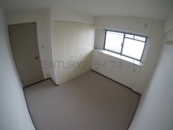 パルハセトン十三