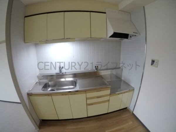 パルハセトン十三