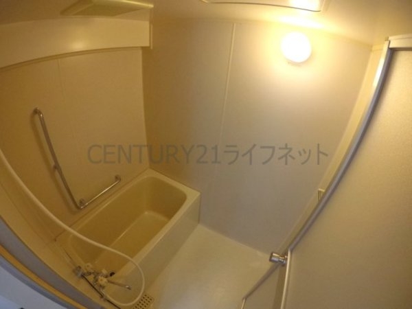 パルハセトン十三